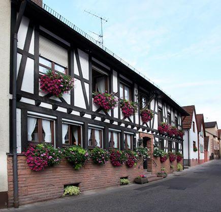 Hotel Dernbachtal Extérieur photo