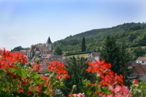 Hotel Dernbachtal Extérieur photo